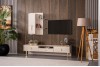 Life TV Unit