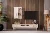 Life TV Unit